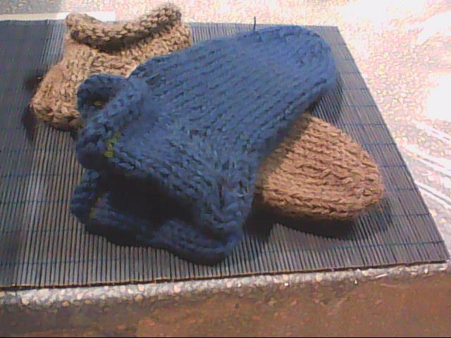 Bild